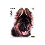 Stickers-Medi-Cane-Cucciolo-Pastore-Tedesco-8020