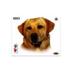 Stickers-Medi-Cane-Labrador-8003